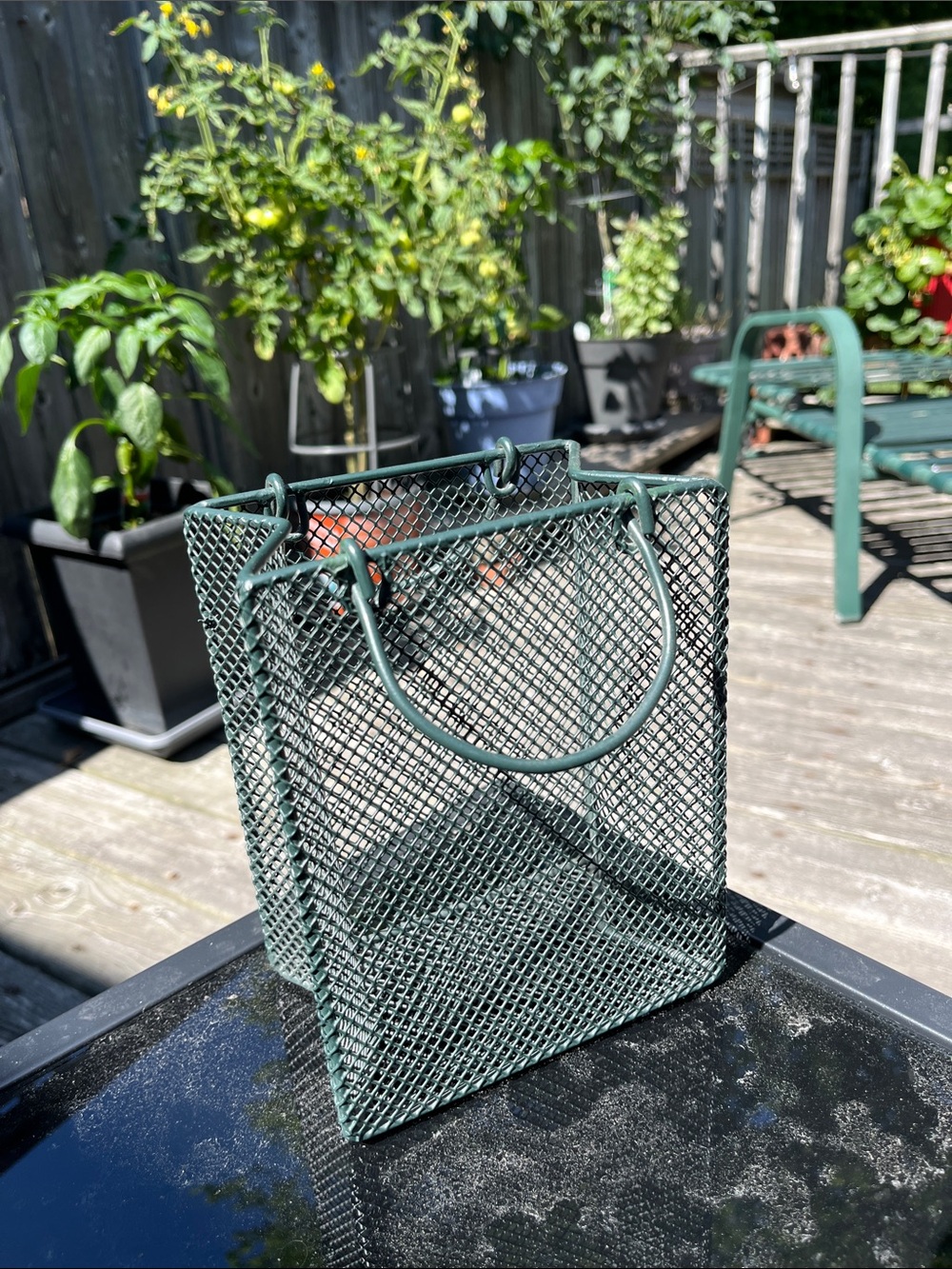 Vintage small Dark Green Epoxy‑Coated Wire Basket – 7” x 5.5” x 3.5”